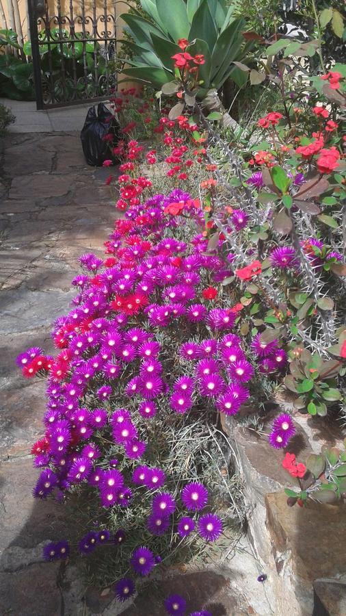Bed And Breakfast Su Niu Quartucciu Exterior foto